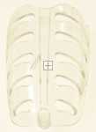 Meiling Lamp Cover - B0172 4-2(a1) 890025950 Lamp Cover