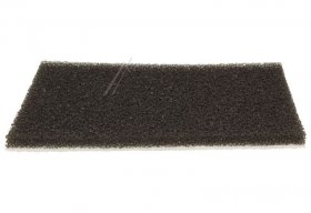 Motor Filter - 1038951 Inlet Filter Sponge 100x120 [Amica]