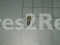 Refrigerator Lamp - 1020414 Bulb [Amica]