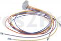 Harness - 10012388 Cable Harness [Bosch Siemens]